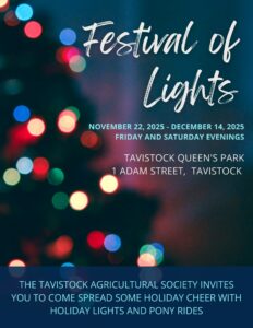 Tavistock Festival of Lights