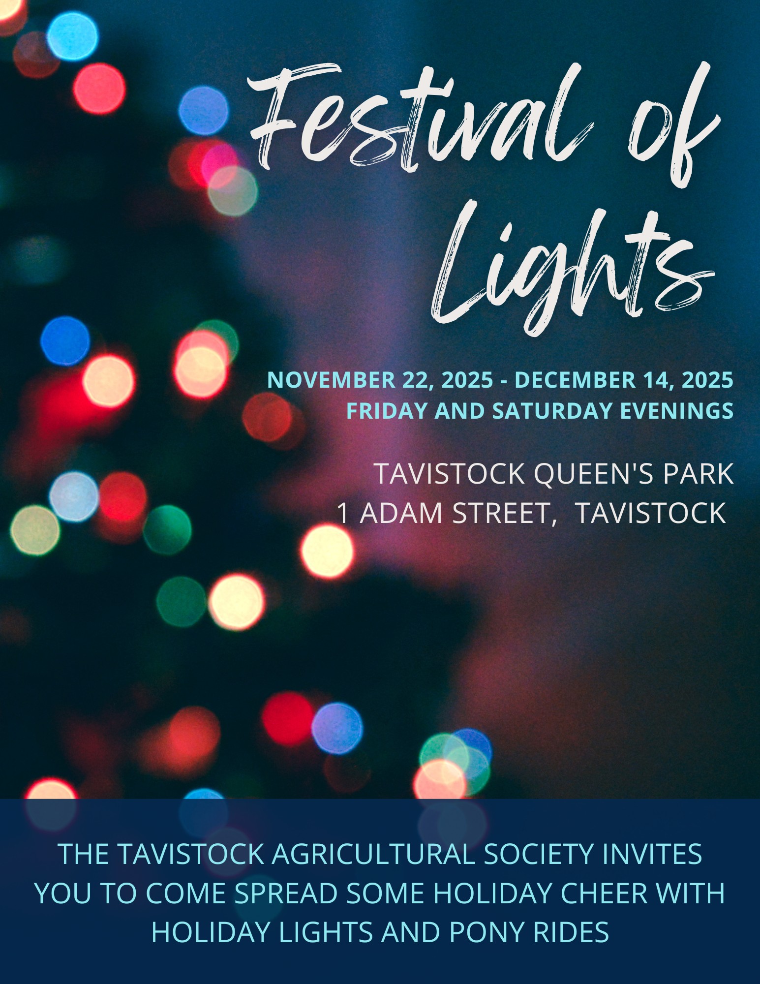 Tavistock Festival of Lights